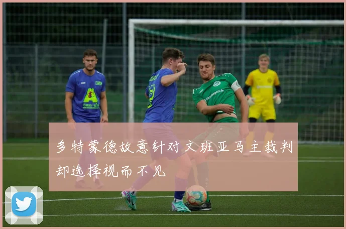 多特蒙德故意针对文班亚马主裁判却选择视而不见